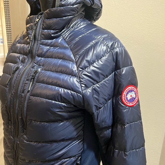 Cansa goose - Picture 5 of 16